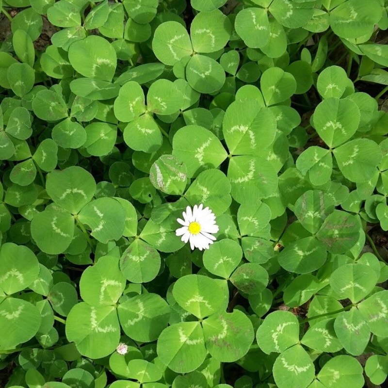 Dọn Dẹp Mối Quan Hệ: Khi Nút “Unfollow” Là Một Hành Động Tự Chăm&nbsp;Sóc