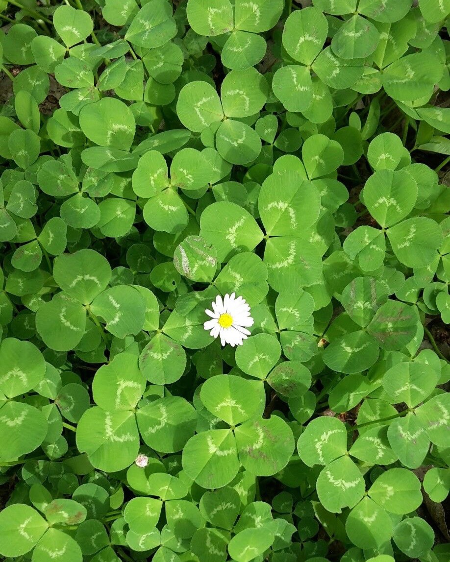 Dọn Dẹp Mối Quan Hệ: Khi Nút “Unfollow” Là Một Hành Động Tự Chăm&nbsp;Sóc