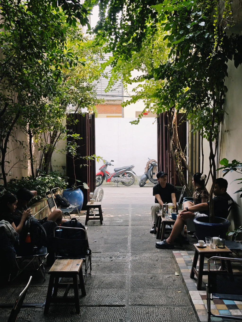 Những Vị Khách Đầu Tiên: Họ Tìm Thấy “Vàng” Ở Nơi Chúng Ta Chỉ Thấy “Bụi”