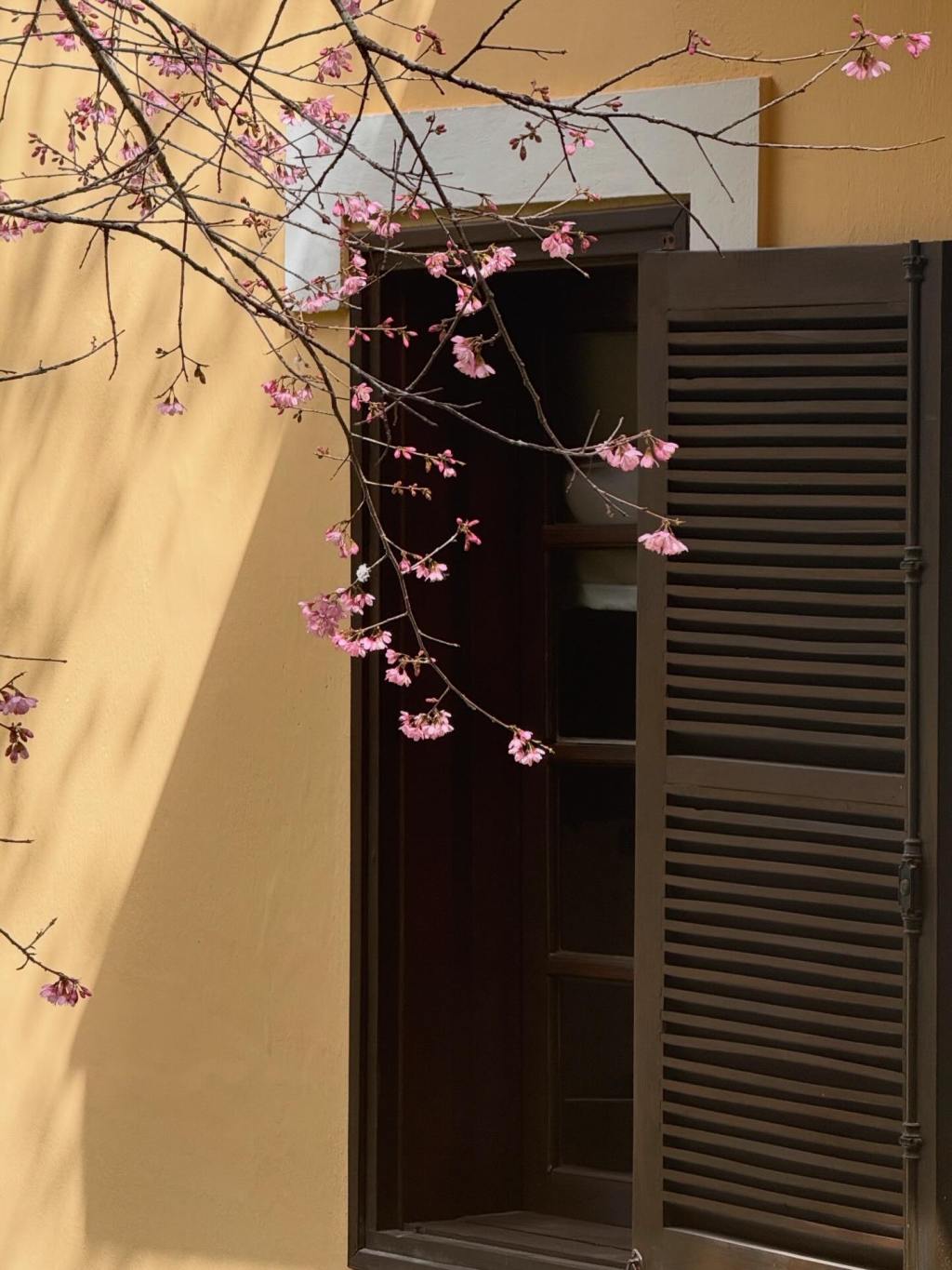 Dọn Nhà Ngày Giáp Tết: Cuộc “Khảo Cổ” Ký Ức & Nghệ Thuật Của Sự Buông&nbsp;Bỏ